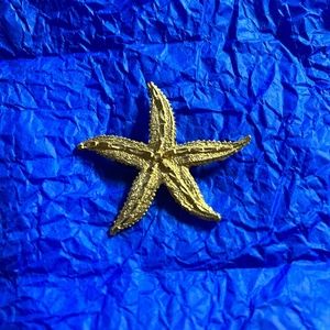 Starfish Pin